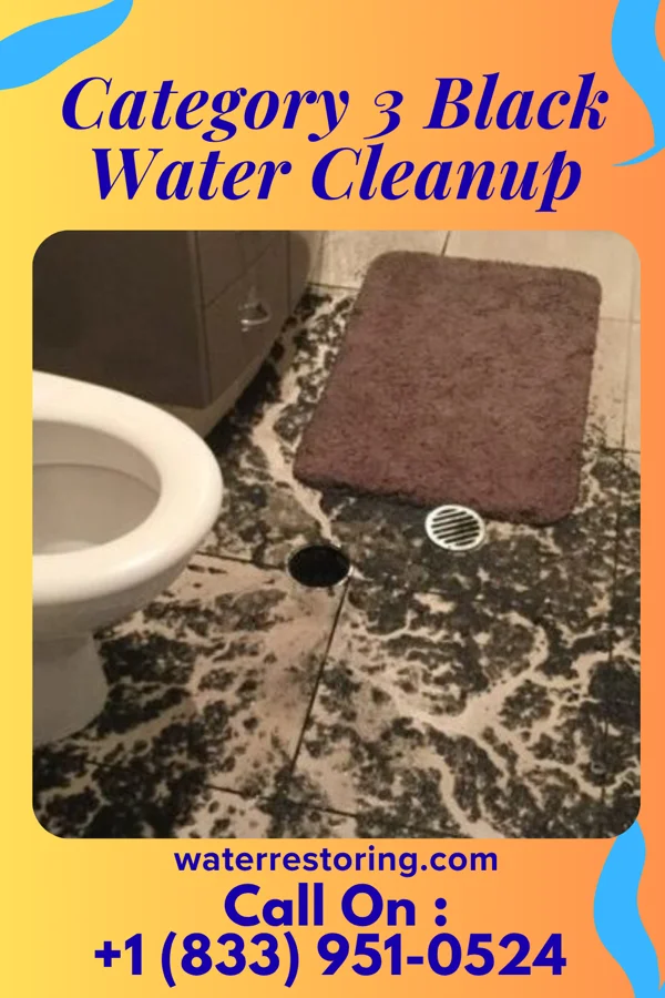 Category 3 Black Water Cleanup in Candy Kitchen, NM