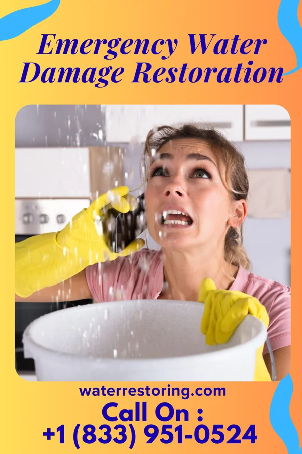 Emergency Water Damage Restoration in Candy Kitchen, NM