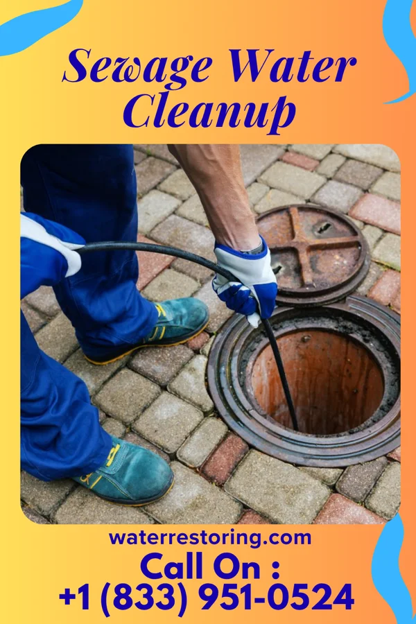Sewage Water Cleanup in Candy Kitchen, NM